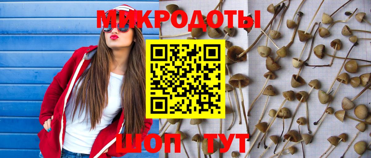 Галлюциногенные грибы Magic Shrooms Лесной