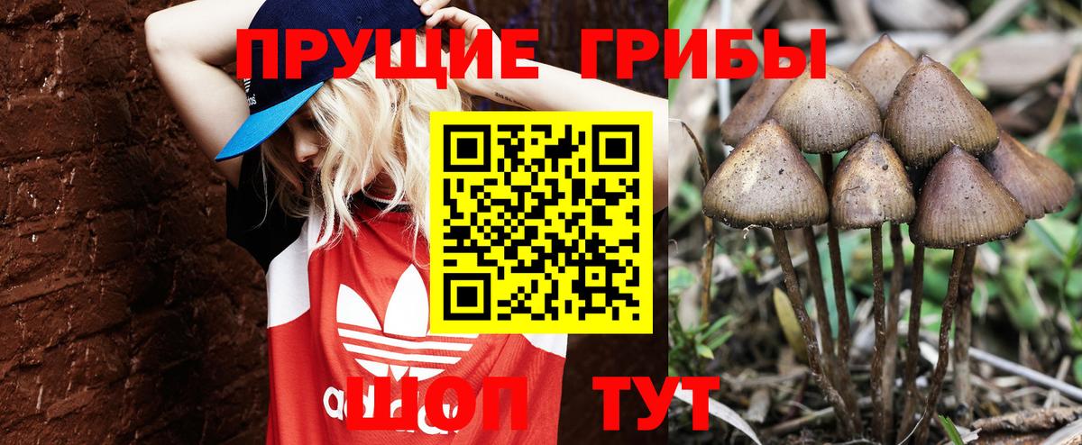 Псилоцибиновые грибы прущие грибы  Вход с VPN  Галлюциногенные грибы Cubensis  Лесной 